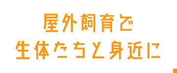 屋外飼育で生体たちと身近に…